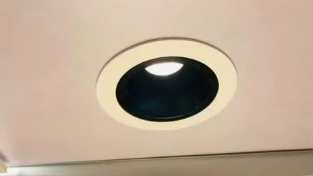 20W Module LED COB Lighting, Commercial Lighting, Indoor Lighting, Hotel Lamp 